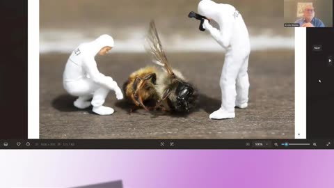 In Poland Attacking the Bee Farmers