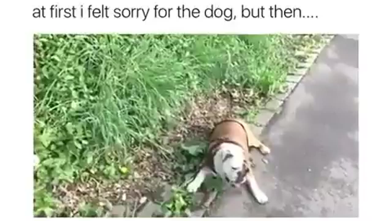 He's Fine Don't Worry