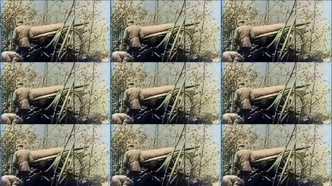 18 - Shadowed Fronts - WW1 Inspired Trench Music - Colourized Footage