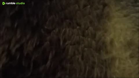 I'm glad I got unreasonably mad about mysogyny