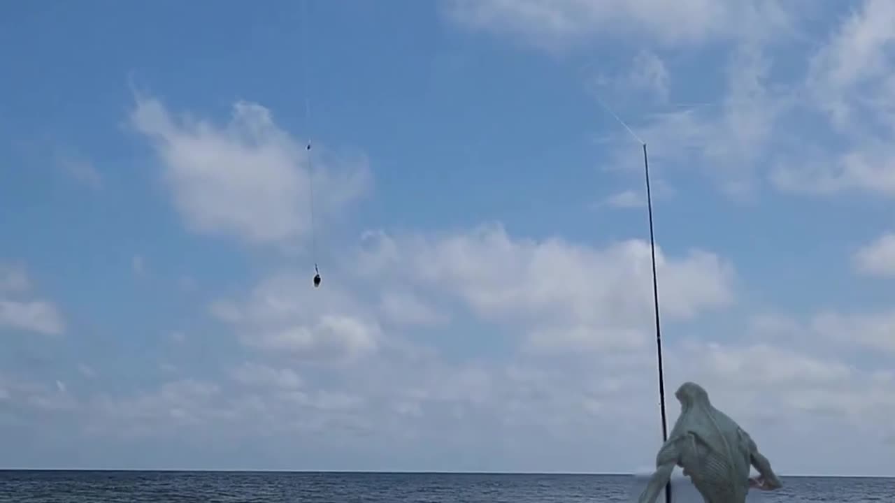 Alien Catches Lemon Shark with a Drone