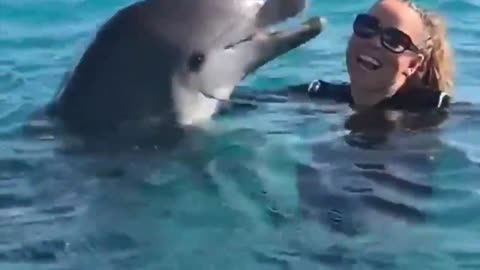 😮✨ Dolphin Reacts to Mariah Carey's Incredible Whisper! | FeedMyCuriosity
