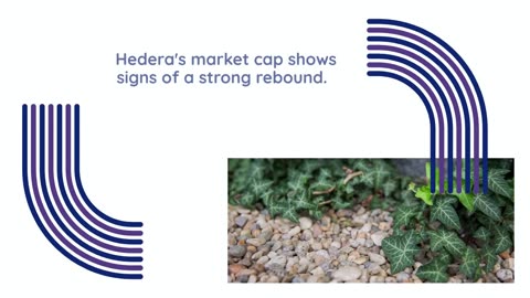 Hedera (HBAR) Eyes $14 Billion Market Cap Comeback After Brief Decline