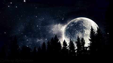 Fall into Deep Sleep - Relaxation and REM Sleep Music
