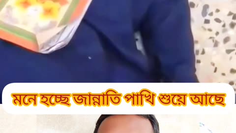 দাঁড়ান ভাই… এই দৃশ্যটা মন কাঁপাবে 💚 মসজিদের কোণায় কুরআন বুকে জান্নাতি এক পাখি 🕊️