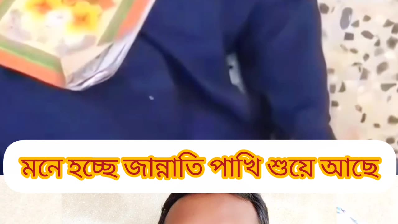 দাঁড়ান ভাই… এই দৃশ্যটা মন কাঁপাবে 💚 মসজিদের কোণায় কুরআন বুকে জান্নাতি এক পাখি 🕊️