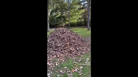 Need a laugh here and there ;)