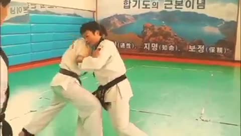 Hapkido
