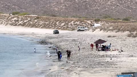 Your Daily Choices Sculpting a Healthy, Long, and Happy Life Keys to a Long and Happy Life These various articles and videos focus on longevity and overall health, offering practical advice for a longer, more fulfilling life. They emphasize that while