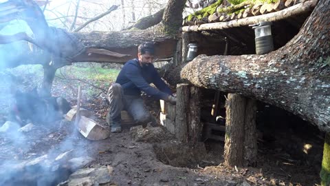 Wild survival in the Alaskan forest