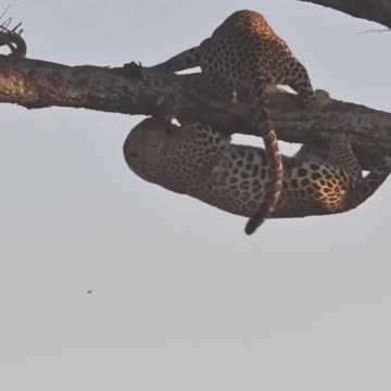 Det är alltid den där idioten som inte kan hålla sig bakom dig, utan måste köra om dig.