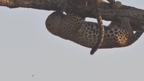 Det är alltid den där idioten som inte kan hålla sig bakom dig, utan måste köra om dig.