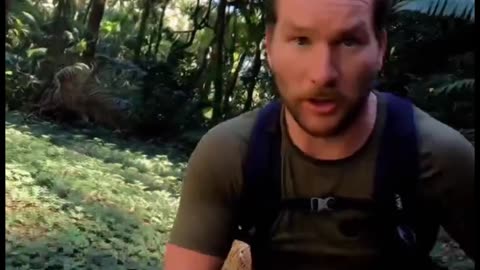 Safari Gone WRONG? 🦍 Angry Gorilla & Hippo vs. Jaguar Selfie Fail! 🤣 #aholidaytour