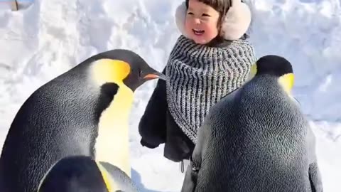 The size of an Emperor penguin, baby human for scale.