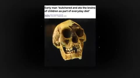 Dolphins: The Sea Diddy Water Weinstein of the Deep (the truly disturbing reality of dolphins)