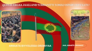 Qophii Ergaa Jaallanii ONM-ABO Onkoloolessa 5-2025 itti dhiyaadhaa!