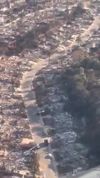 Aerial views taken during Trump's trip shows destruction wrought by wildfires in Los Angeles.