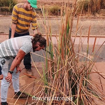 🚰 Watch Jonas leading the charge to flush out the mud and revive the canal!