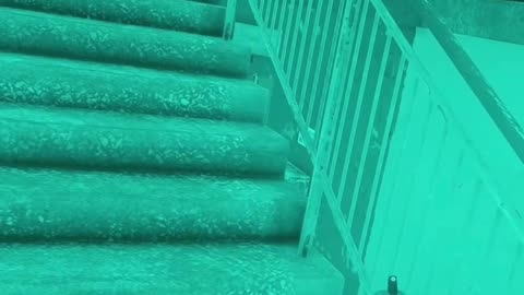 Changing Servers In Tarkov #escapefromtarkov #pc #gaming #extractionshooter #bovcast