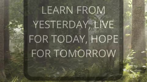 Motivational Quotes For Whatsapp status,tiktok,instagram