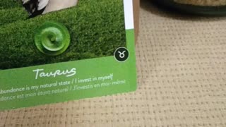 Queendom of Heaven 12-18-25