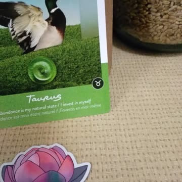 Queendom of Heaven 12-18-25