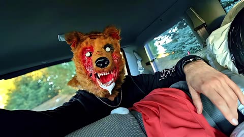 Does This Mask Make Me Look Fat? 🐻