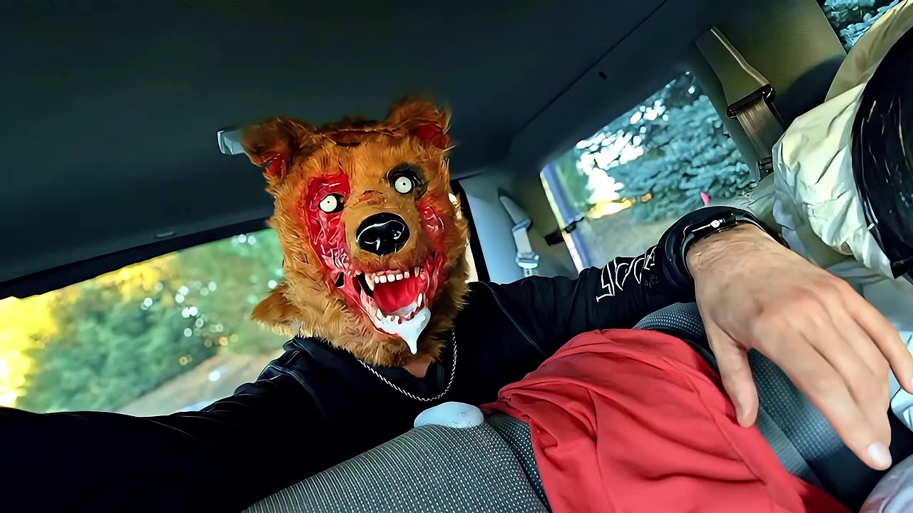 Does This Mask Make Me Look Fat? 🐻