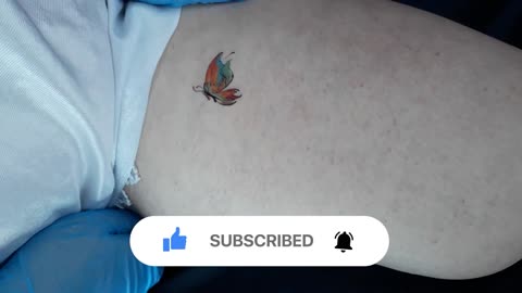 colorful butterfly temporary tattoo sticker magic art design