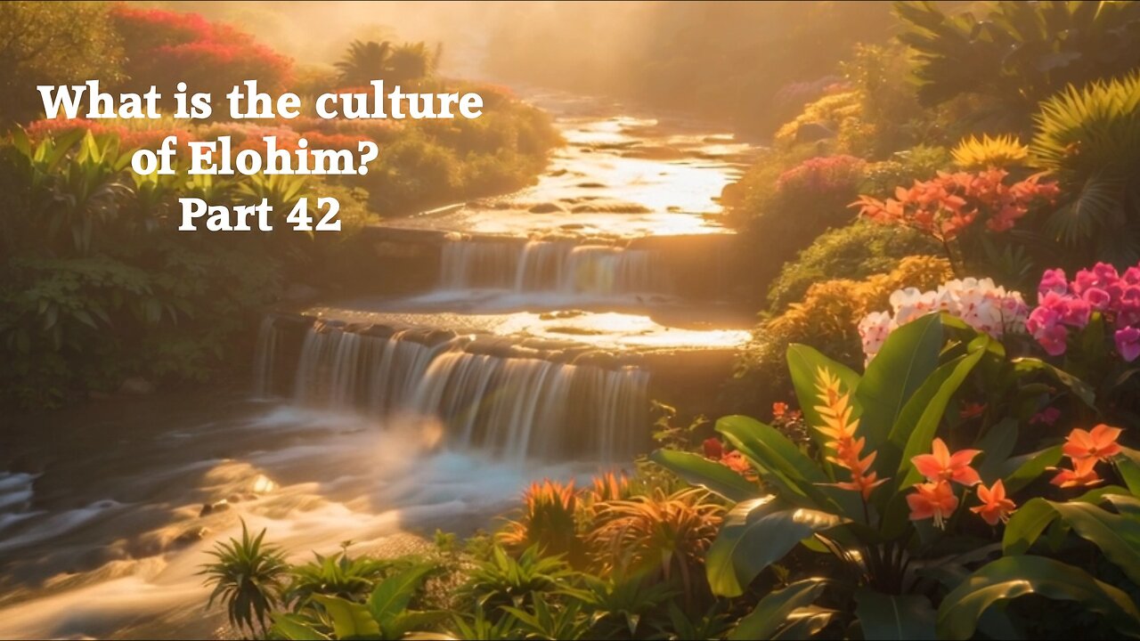 What is the culture of Elohim? Part 42