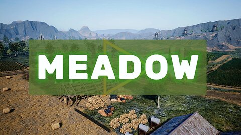 MEADOW: Barn Race