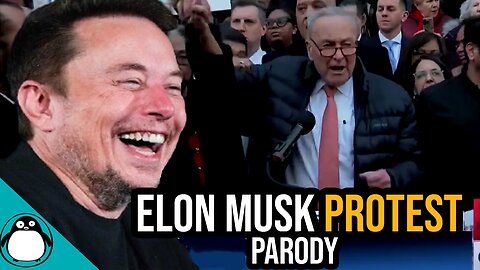 Democrats ANGRY Elon Musk USAID Protest Uncut