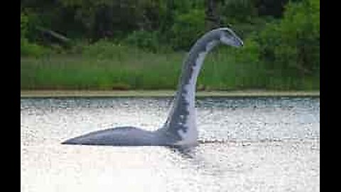 First Nessie Video of 2025