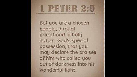 1st Peter 2 (Part 2) Read and Explained