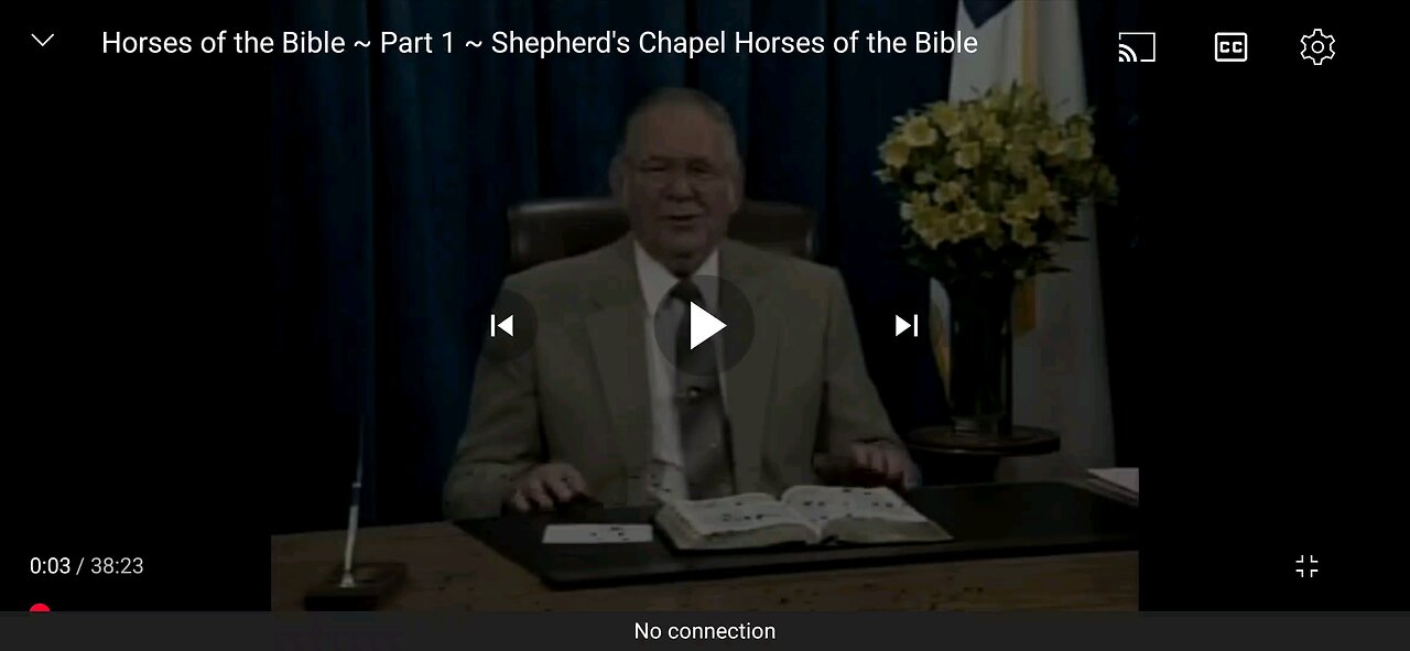 Horses of the Bible #1