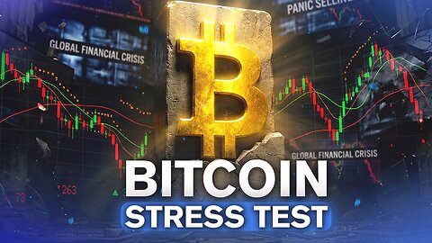 Crypto Is Cracking — Bitcoin Absorbs the Panic | RoxomTV News