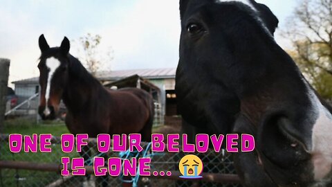 Saying GOODBYE To One Of Our BELOVED!