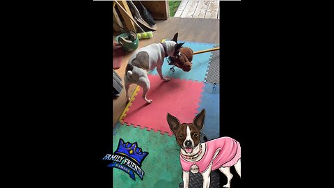 Princess vs Horsey Stick