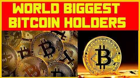 World 's Biggest Bitcoin Holders