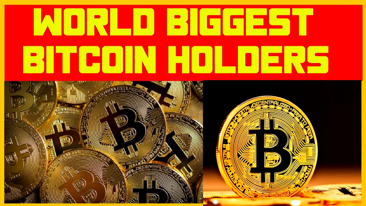 World 's Biggest Bitcoin Holders