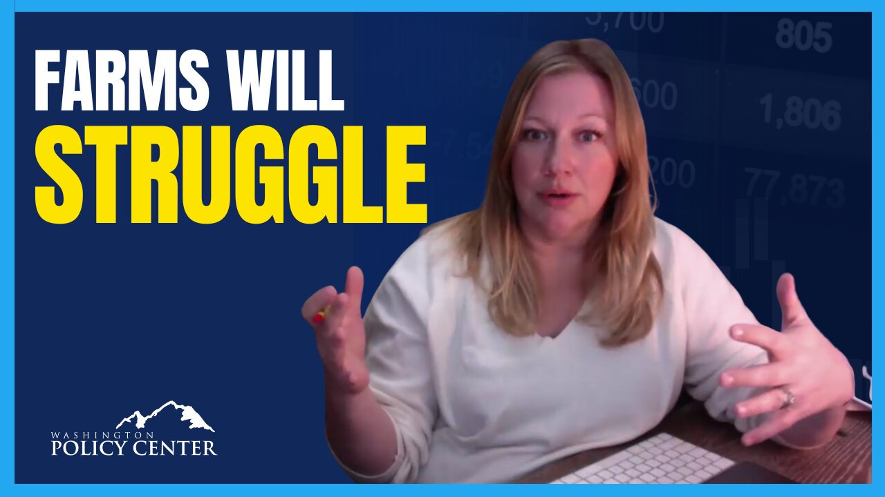 How Importing Beef Hurts Washington | Pam Lewison