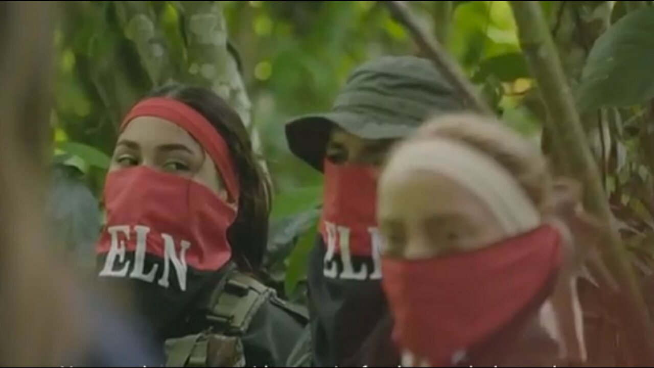 Guerrilla Army Is Winning Colombias Latest Drug War! Times Originals Investigation