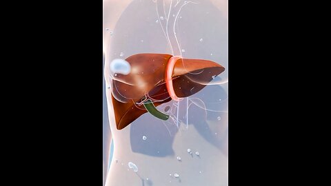 Liver 3D animation #3dmedico #medical #health