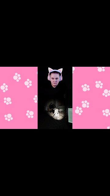 Interrogating the Real Expert on Ghosts. 🐰