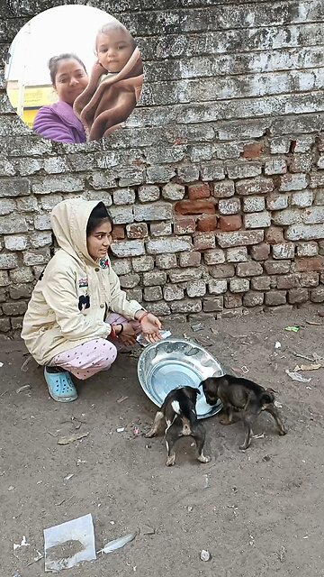 jivdaya mehsana Gujarat