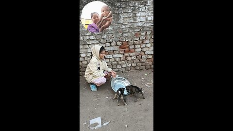 jivdaya mehsana Gujarat