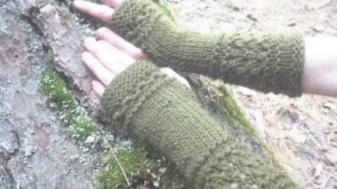 5 chopsticks (^_−)−☆