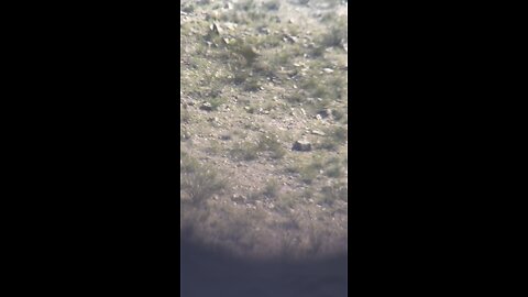 308 shooting at 1103 Yards with a 168G BTHP. CeCe Brown Getting it done with Team Lawrence, El Paso