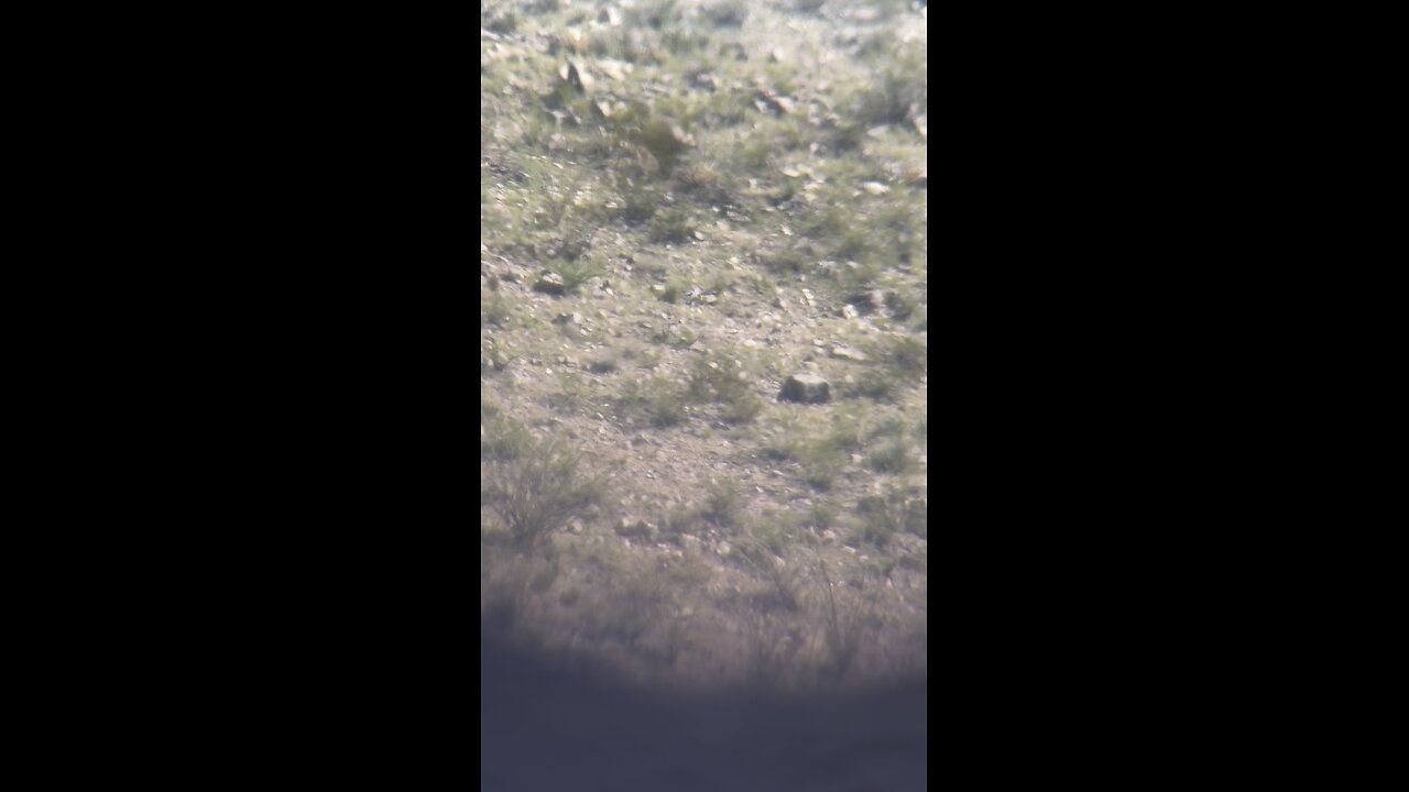 308 shooting at 1103 Yards with a 168G BTHP. CeCe Brown Getting it done with Team Lawrence, El Paso