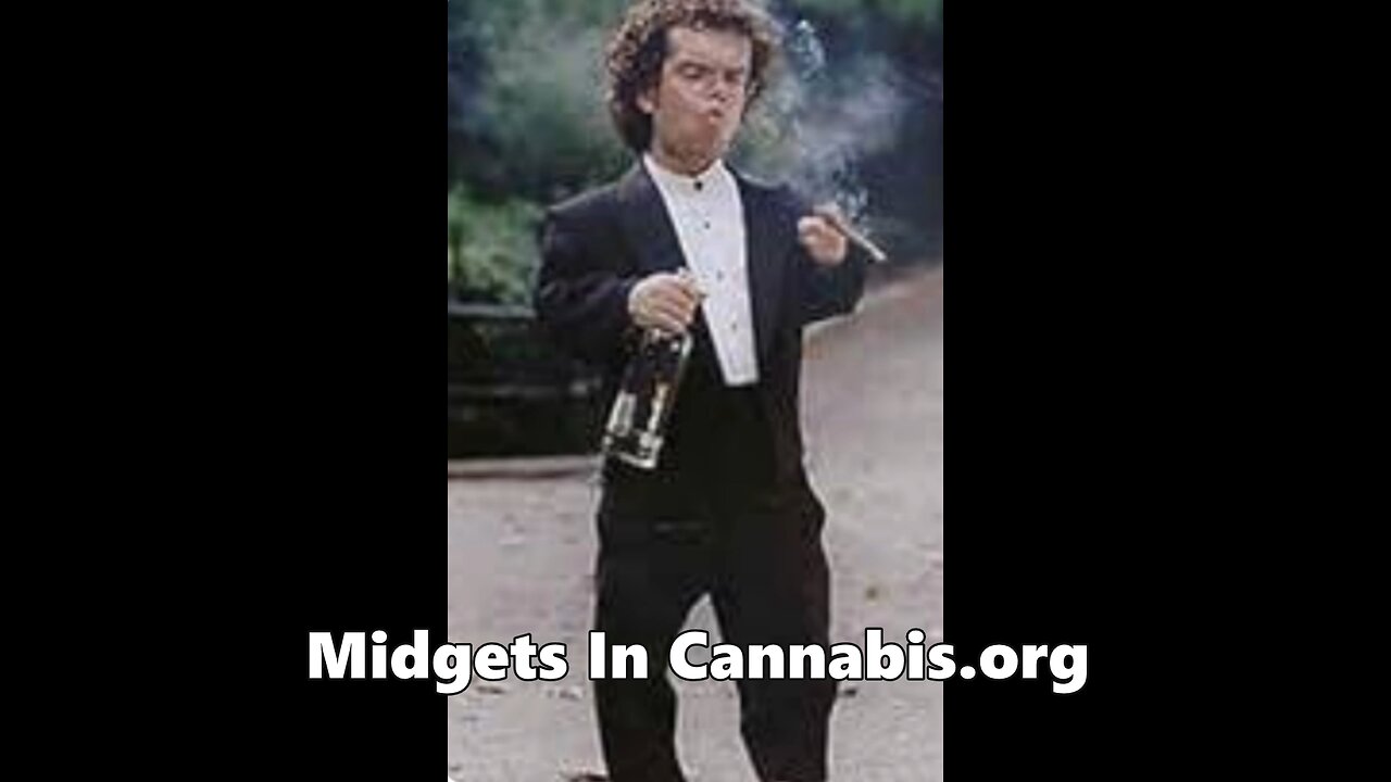 1-800-WEEDMIDGY(Parody)